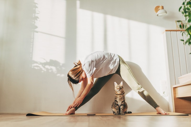 Morning stretching routine